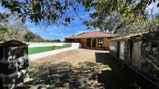 Casa en venta en El Tanque (Tenerife)