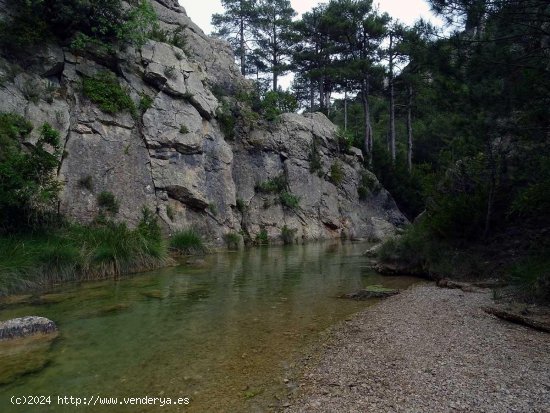 Finca en venta en Beceite (Teruel)