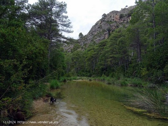 Finca en venta en Beceite (Teruel)