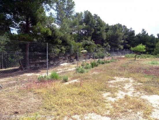 Finca en venta en Horta de Sant Joan (Tarragona)