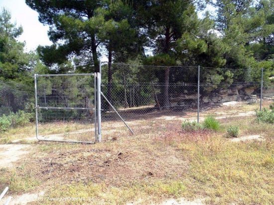 Finca en venta en Horta de Sant Joan (Tarragona)