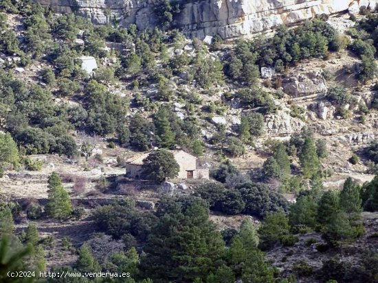 Finca en venta en Valderrobres (Teruel)