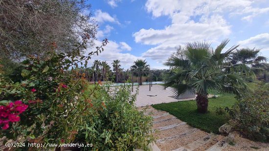 Villa en venta en Manacor (Baleares)