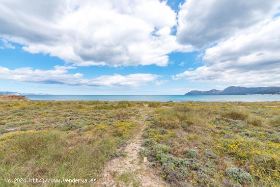 Solar en venta en Santa Margalida (Baleares)