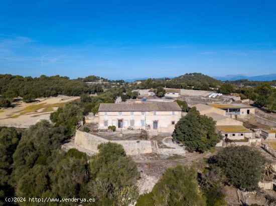  Finca en venta en Montuïri (Baleares) 