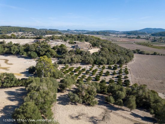 Finca en venta en Montuïri (Baleares)