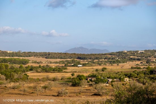 Finca en venta en Montuïri (Baleares)