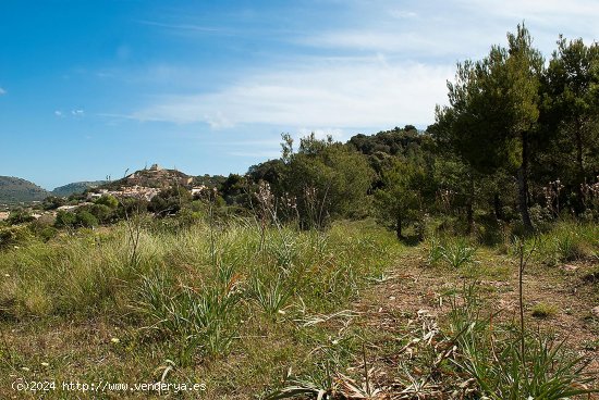 Solar en venta en Capdepera (Baleares)