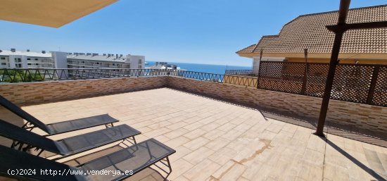 Apartamento en alquiler en Fuengirola (Málaga)