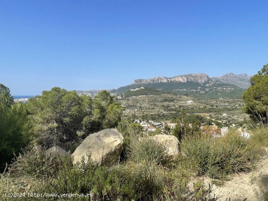 Parcela en venta en Calpe (Alicante)