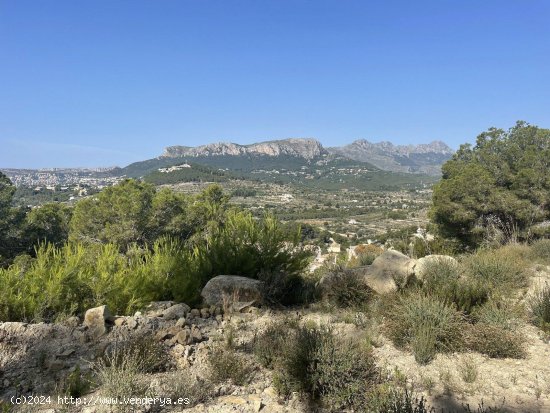 Parcela en venta en Calpe (Alicante)