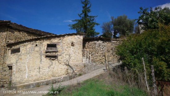 Villa en venta en La Fueva (Huesca)