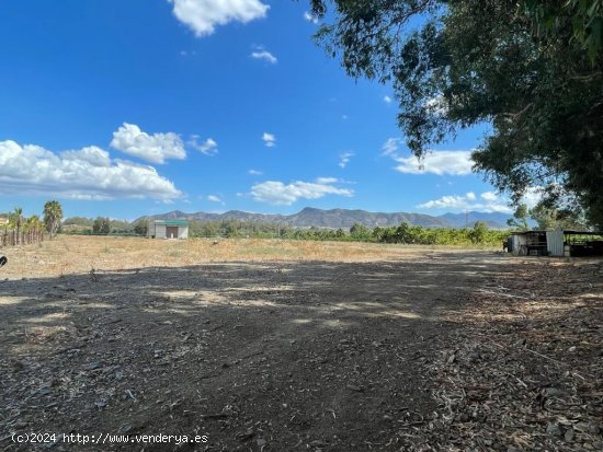  Finca en venta en Pizarra (Málaga) 