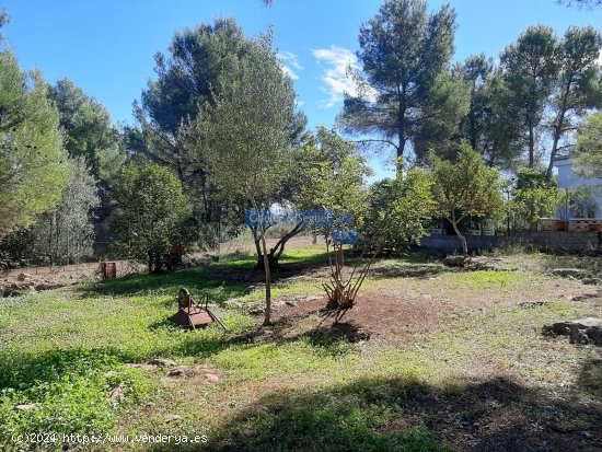 Parcela en venta en Algar de Palancia (Valencia)