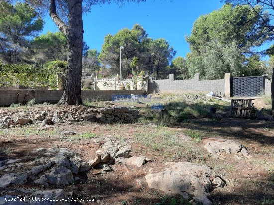 Parcela en venta en Algar de Palancia (Valencia)