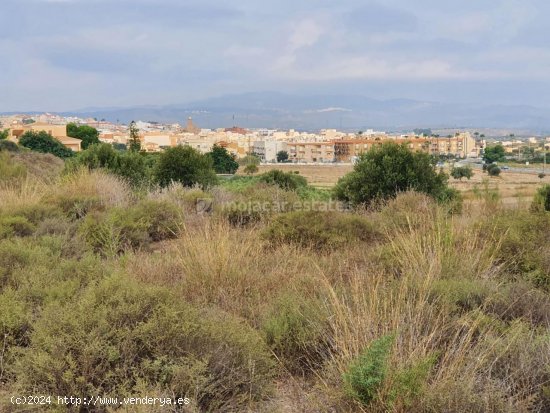 Solar en venta en Turre (Almería)