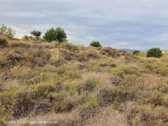 Solar en venta en Turre (Almería)