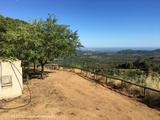 Finca en venta en Vilaplana (Tarragona)