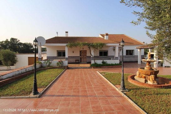  Finca en venta en Alhaurín el Grande (Málaga) 