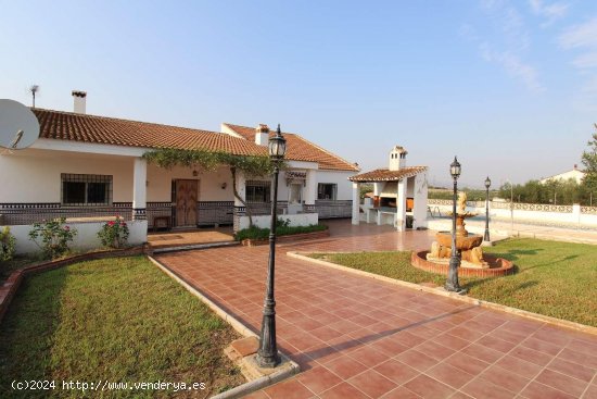 Finca en venta en Alhaurín el Grande (Málaga)