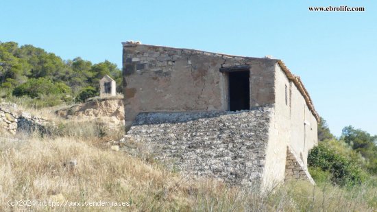  Finca en venta en Vilalba dels Arcs (Tarragona) 