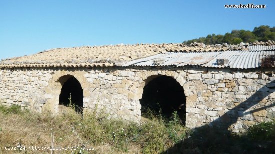 Finca en venta en Vilalba dels Arcs (Tarragona)