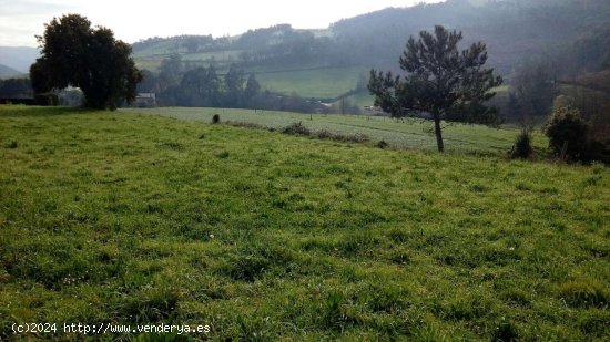 Parcela en venta en Valdés (Asturias)