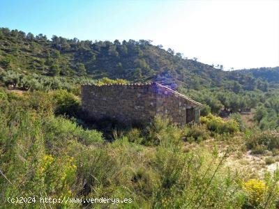 Finca en venta en Maella (Zaragoza)