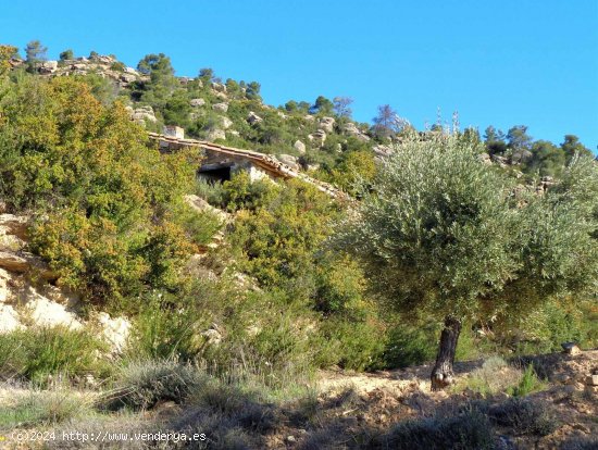 Finca en venta en Maella (Zaragoza)