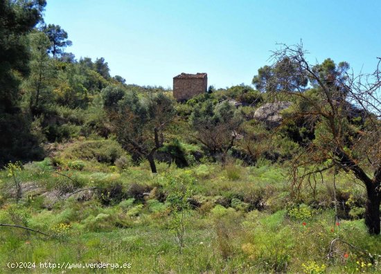 Finca en venta en Maella (Zaragoza)