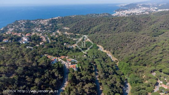 Parcela en venta en Lloret de Mar (Girona)