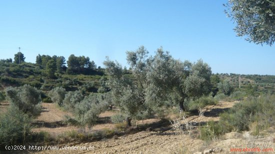  Finca en venta en Calaceite (Teruel) 