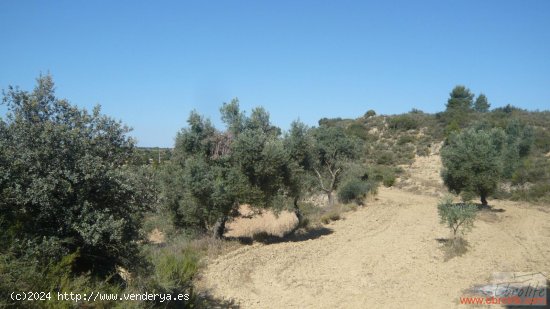 Finca en venta en Calaceite (Teruel)