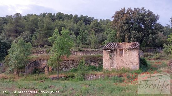 Casa en venta en La Fresneda (Teruel)