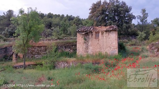 Casa en venta en La Fresneda (Teruel)