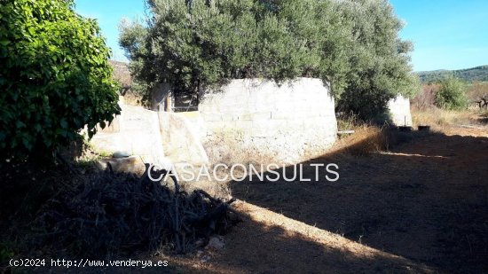 Finca en venta en Benlloch (Castellón)