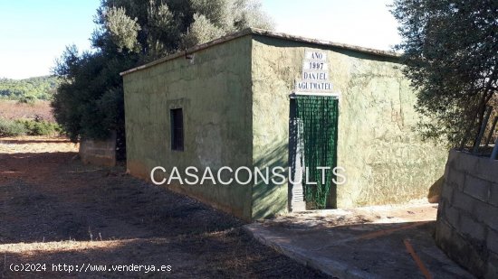 Finca en venta en Benlloch (Castellón)