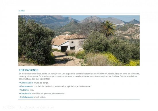 Finca en venta en La Guardia de Jaén (Jaén)