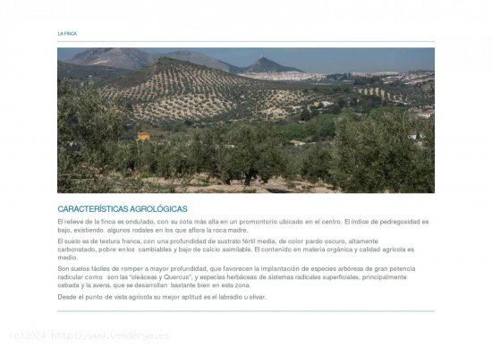 Finca en venta en La Guardia de Jaén (Jaén)