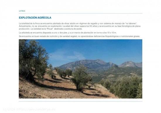 Finca en venta en La Guardia de Jaén (Jaén)