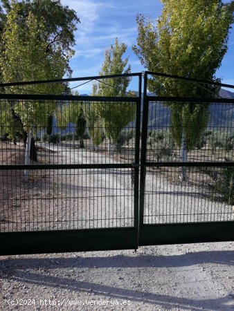 Finca en venta en Bedmar y Garcíez (Jaén)