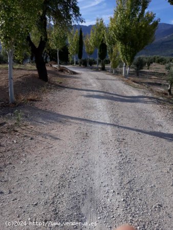 Finca en venta en Bedmar y Garcíez (Jaén)