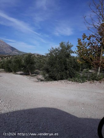  Finca en venta en Bedmar y Garcíez (Jaén) 