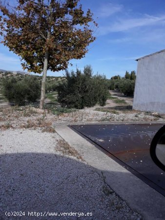 Finca en venta en Bedmar y Garcíez (Jaén)