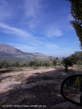 Finca en venta en Bedmar y Garcíez (Jaén)