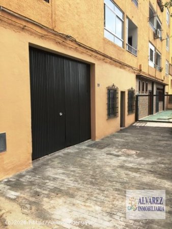  Local en venta en Marbella (Málaga) 