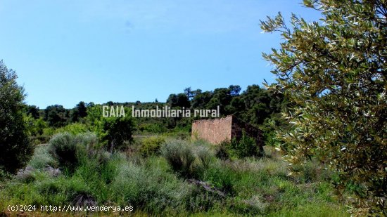 Finca en venta en Fabara (Zaragoza)