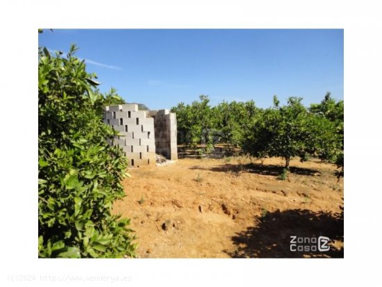 Finca en venta en Alzira (Valencia)