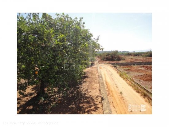 Finca en venta en Alzira (Valencia)