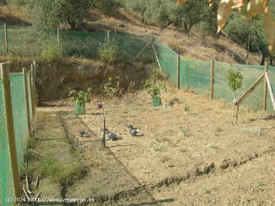 Solar en venta en Comares (Málaga)